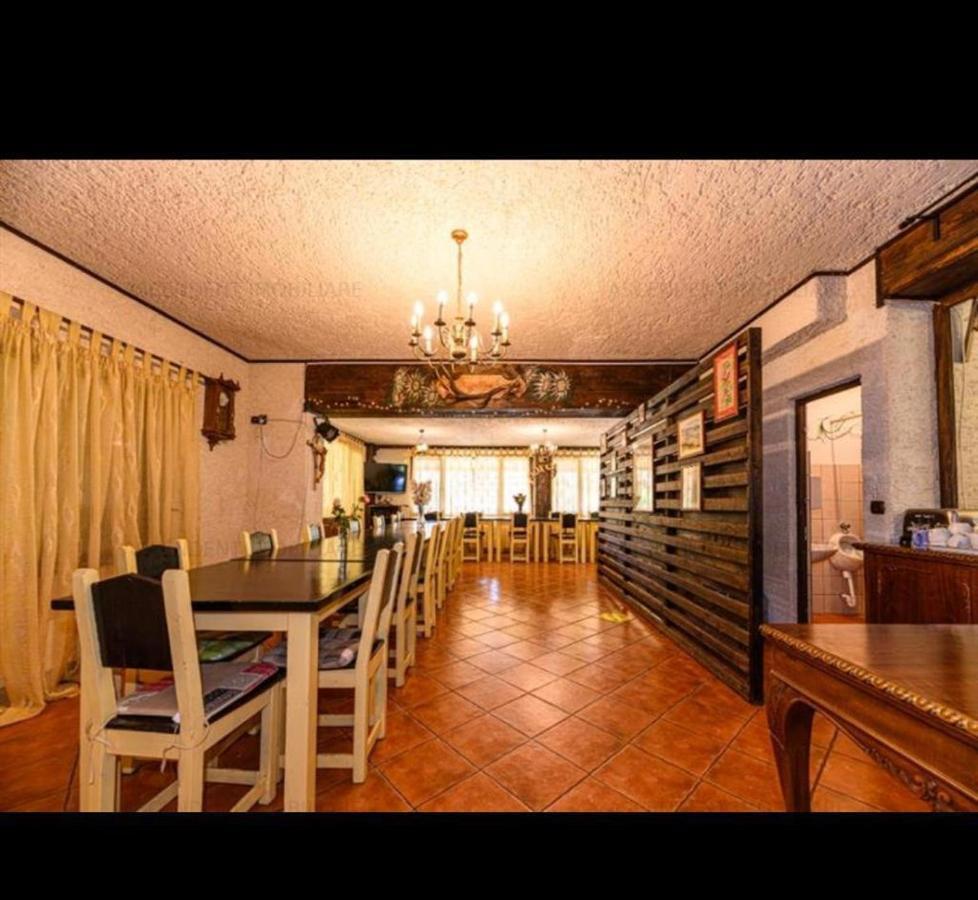 Hotel Vila Colt De Rai Rîşnov Exterior foto