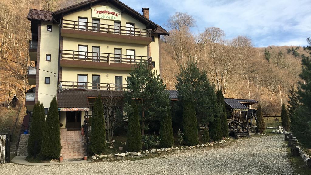 Hotel Vila Colt De Rai Rîşnov Exterior foto